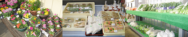 産直館(成田市産直組合)